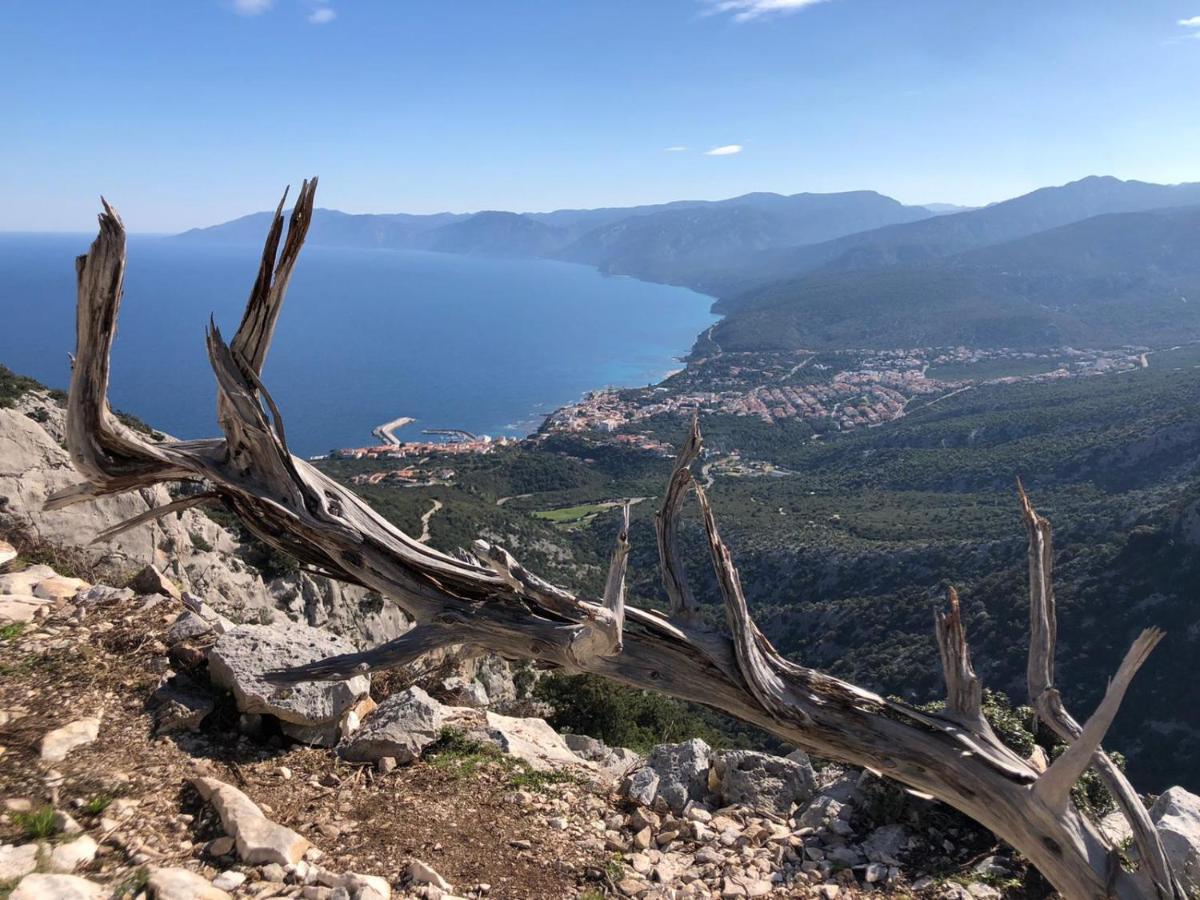 Appartamento Meduse Cala Gonone Exteriör bild
