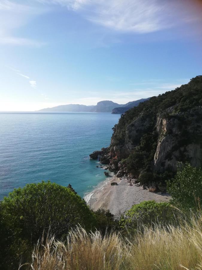 Appartamento Meduse Cala Gonone Rum bild